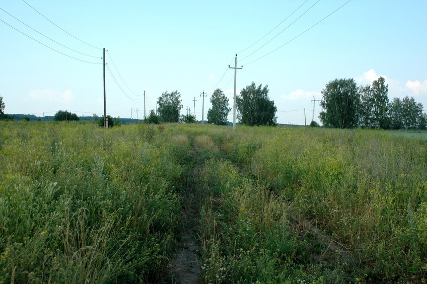 Pipeline to the west from CP