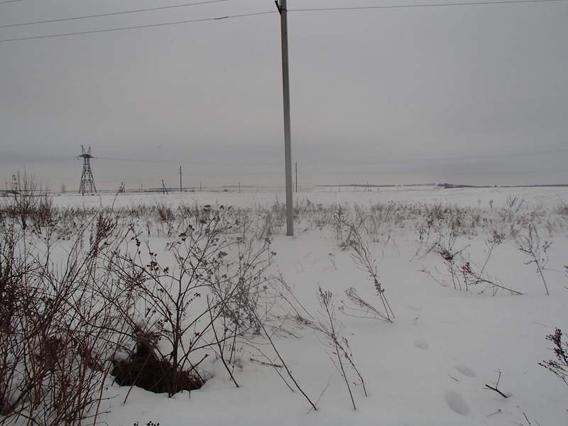 View to the east / Вид на восток