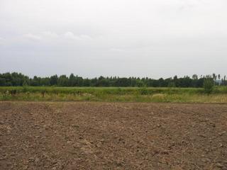 #1: East View