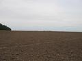 #3: West View