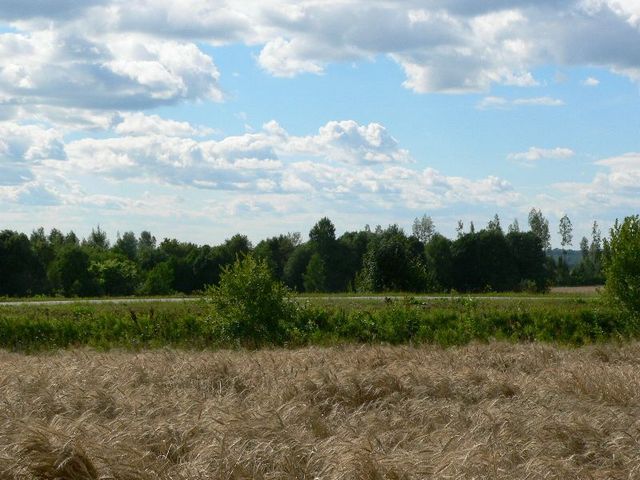 West view