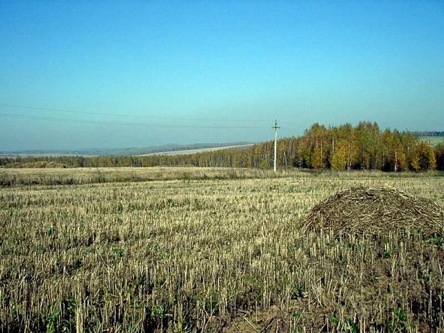 North view of confluence point (Северный вид на точку)