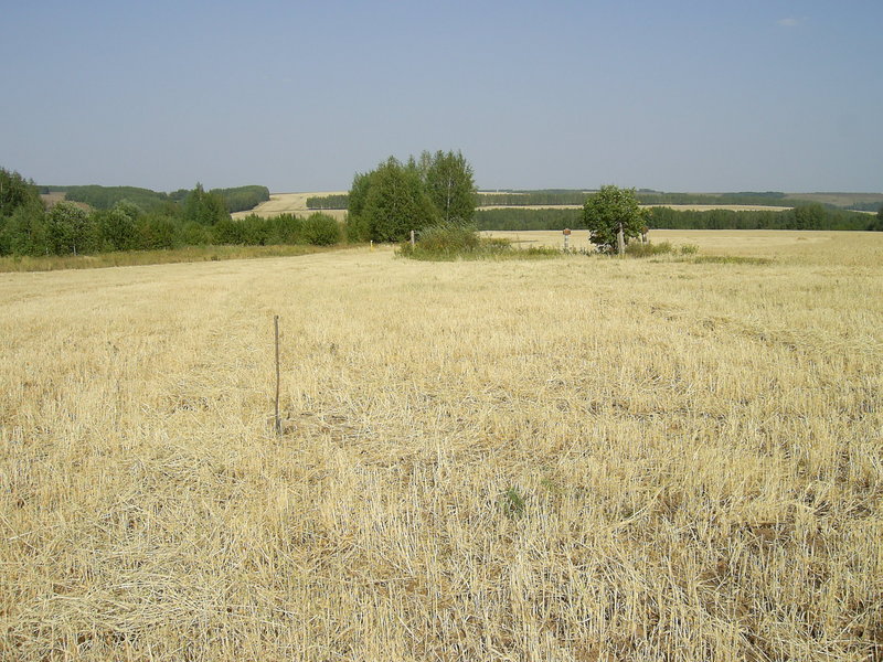 A close view of the confluence point