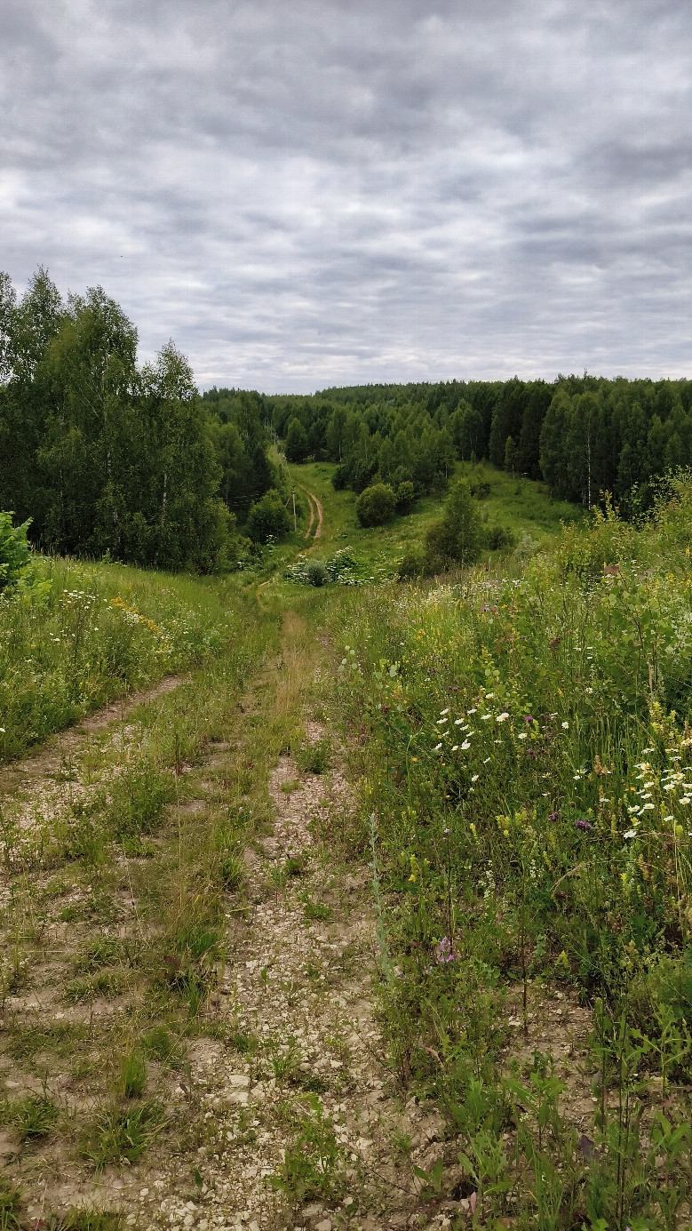 The beginning of my walking path