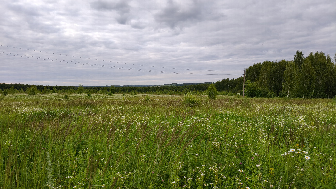 North view