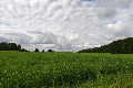 56°N 50°E preview image