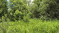 #2: East view