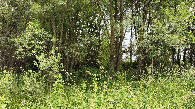 #3: South view