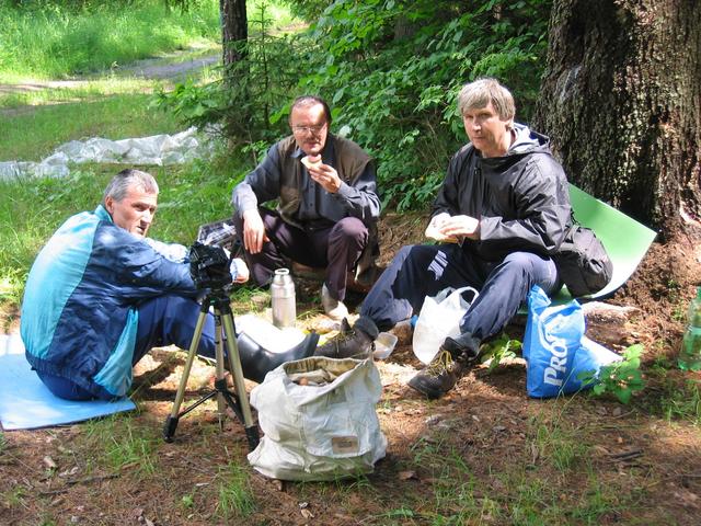 Picnic