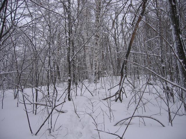 View to the confluence