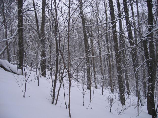 View to the West. Steep slope is distinct