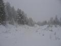 #8: Snowy road, snowy weather. Nobody uses this road in winter, and anybody hardly uses it in summer