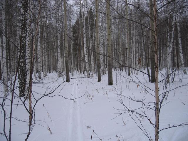 View to the West and our ski-track