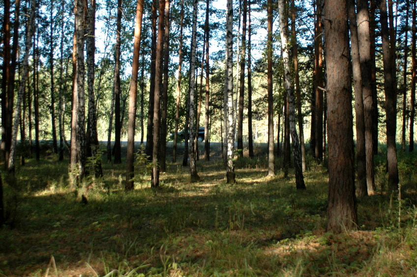 The road is visible from CP/Вид на дорогу от точки Слияния