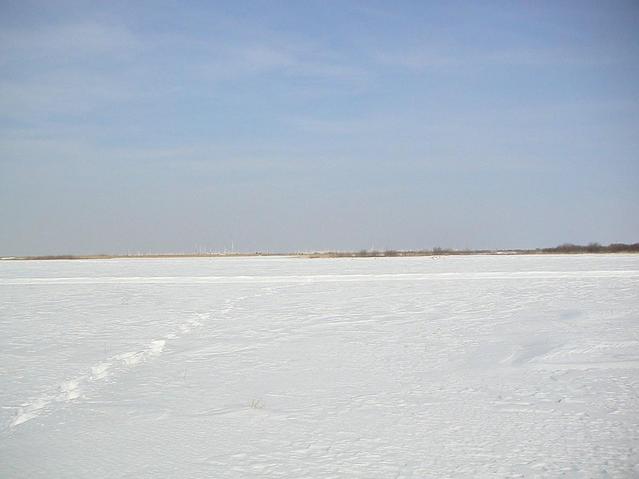 View to the North. The road is a few metres from the confluence point.