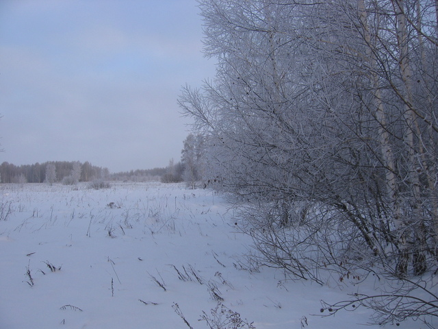 View to the North