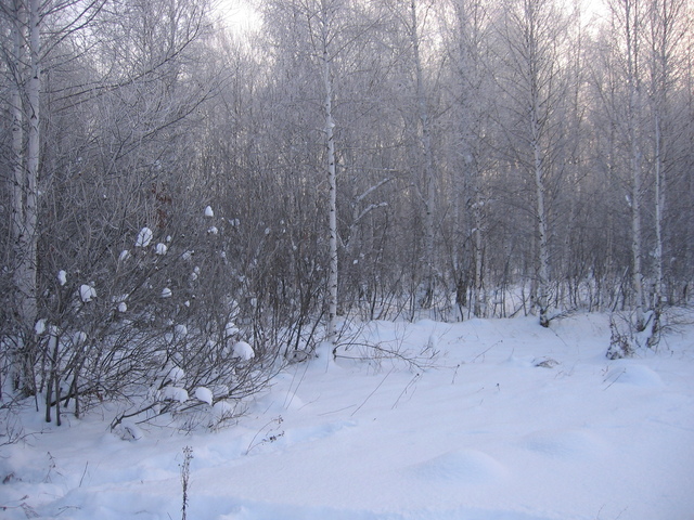 View to the East