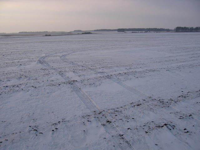 Our track to the confluence. Across the field