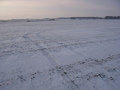 #8: Our track to the confluence. Across the field