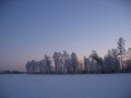 #6: Russian winter scenery (on the way back to our car)