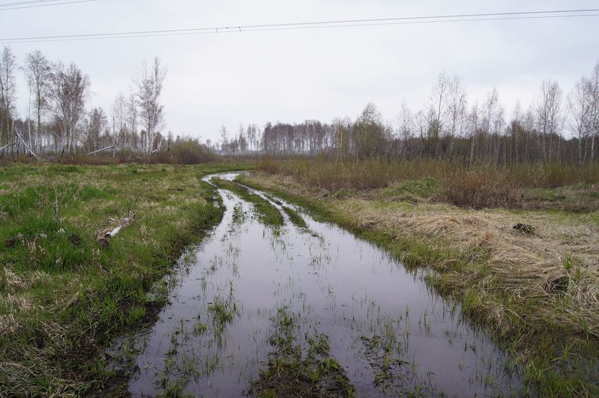 Начало пути/Start of the path 