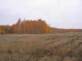 #10: Пейзаж -- Landscape
