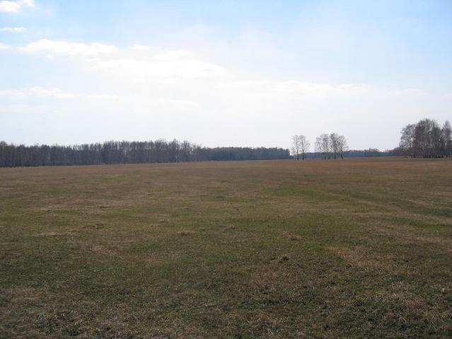 South