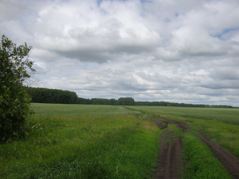 По полям к цели / To the goal... onto fields