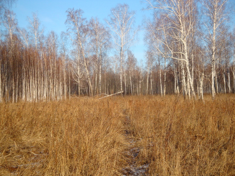 Идем к цели / Walking to the goal