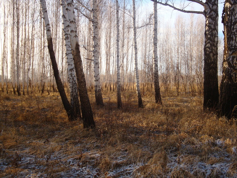 На запад / Facing west