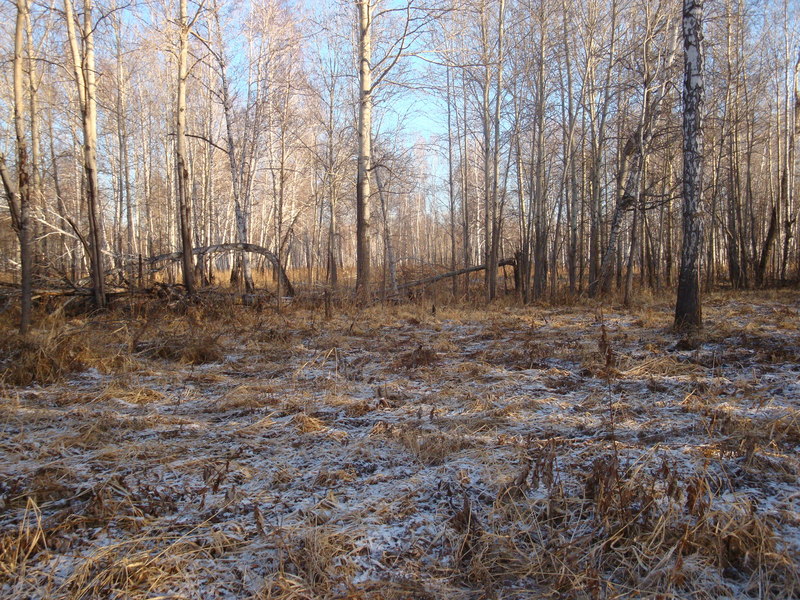 На восток / Facing east