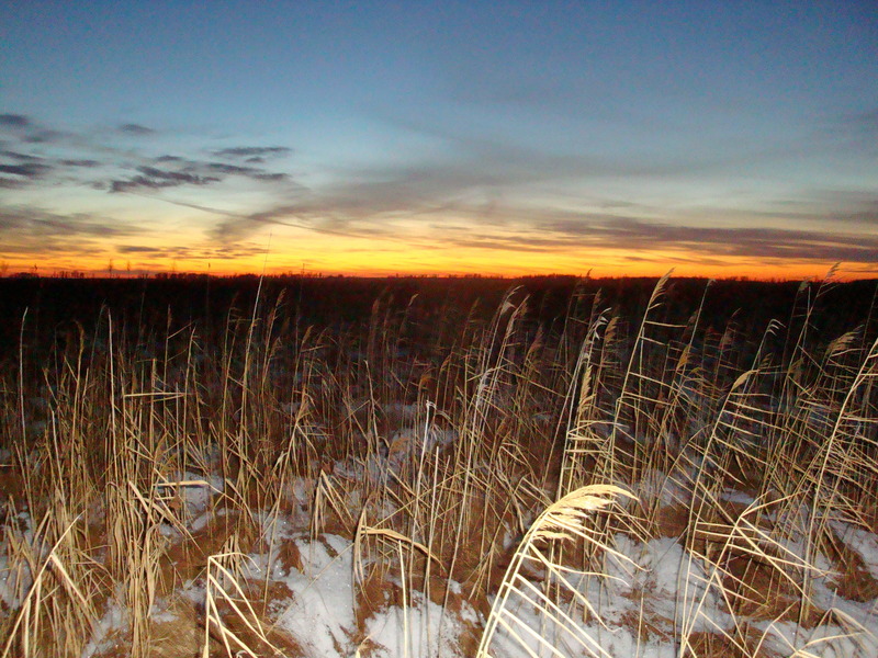 На запад / Facing west