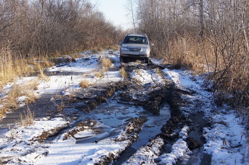 Дорога до реки Ича / The road to Icha river