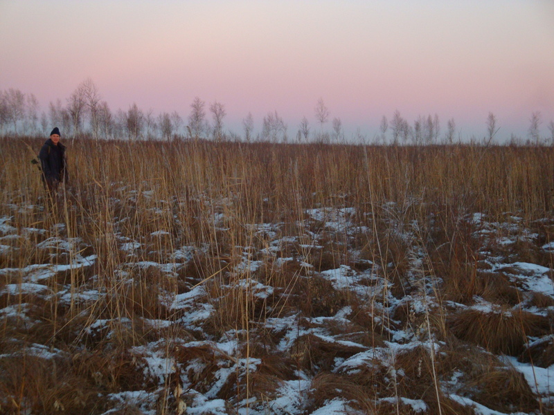 В пути к цели / On the way to the targer