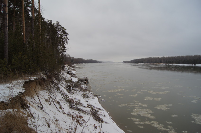 Река Обь / Ob river