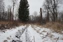 #8: Дорога вдоль Оби - 2 / The road along Ob - 2