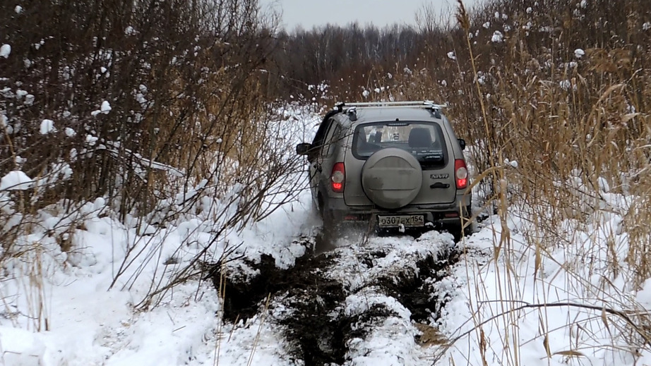 По болотинам / On a swamp