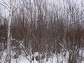 #2: Север / North