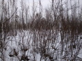 #4: Юг / South