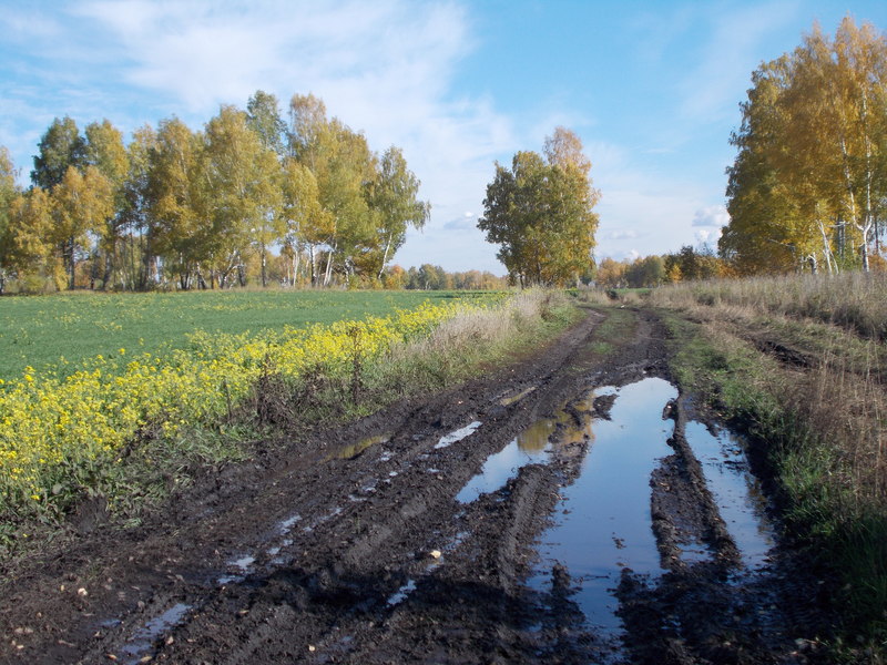 И такая дорога была/Dirt road