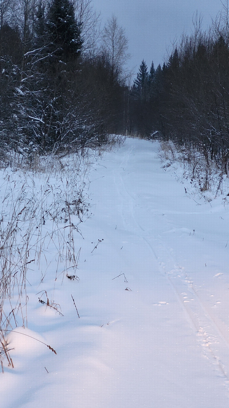Дорога в сторону пересечения / Towards the confluence