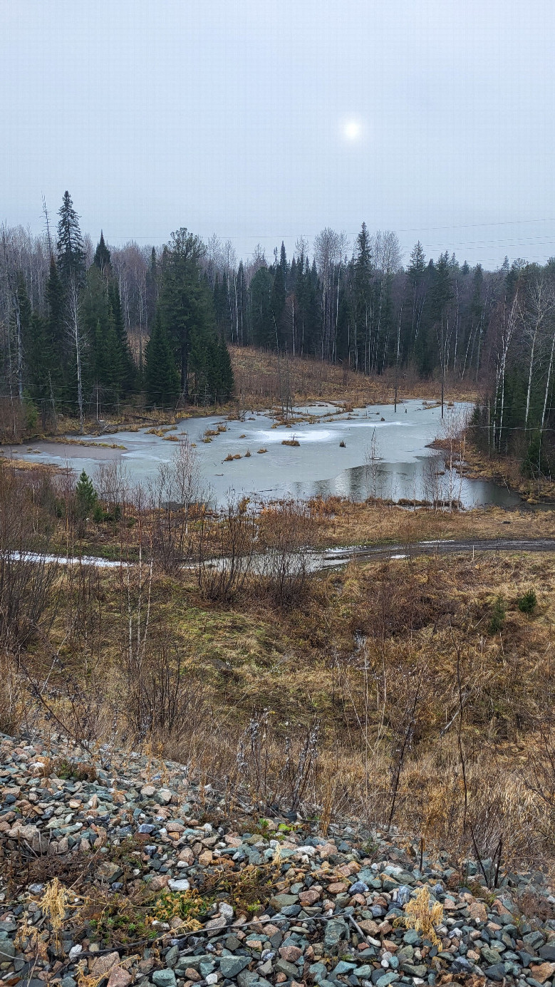 Pond / водоём