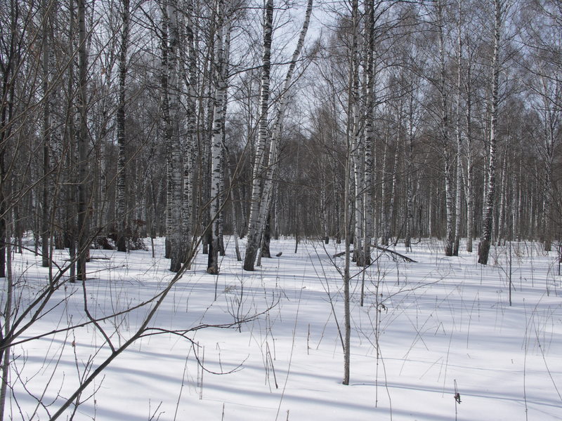 Вид на Запад/West view