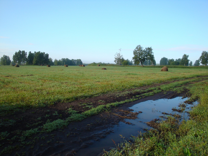 Где по полю где по грязи/Somewhere onto a field, somewhere onto a mud