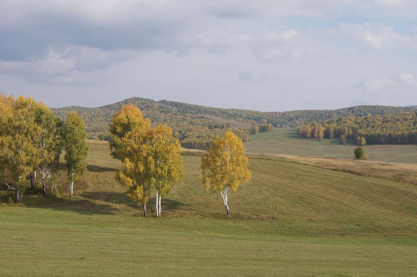 Вид с трассы Абакан-Ачинск / View from the route