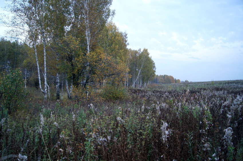 На восток / East view