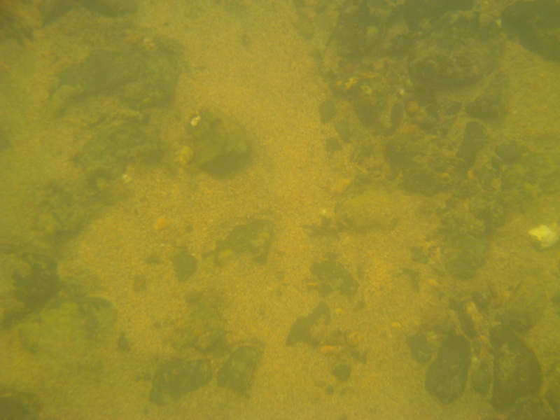 Под водой/Under water