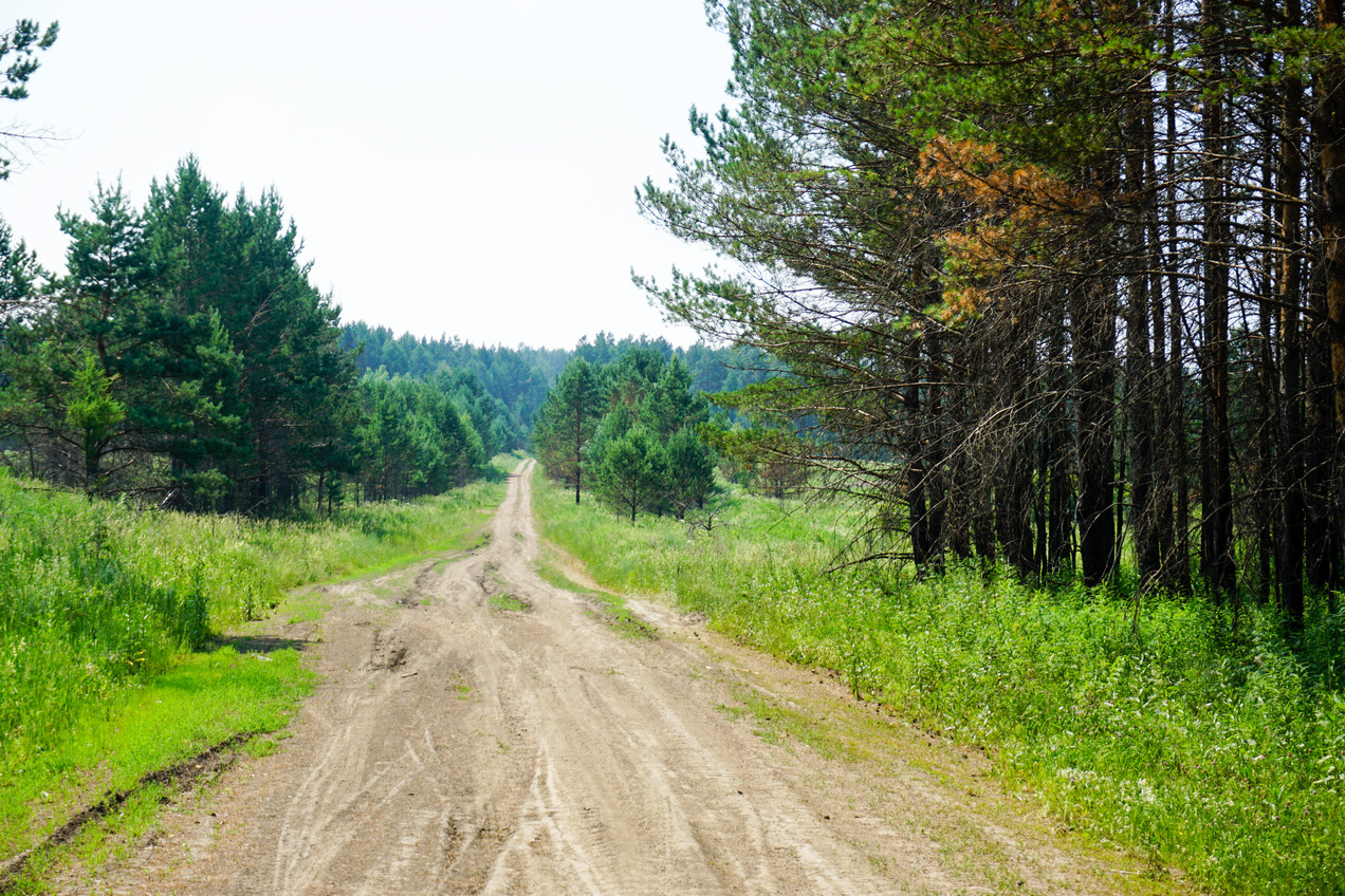 Road to confluence