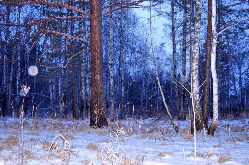 На Запад/Looking West