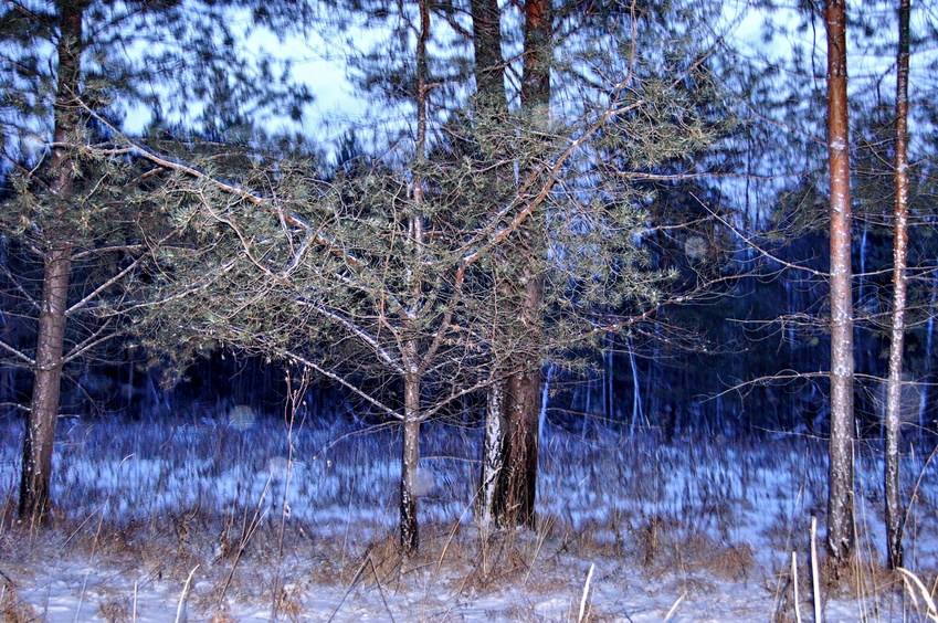 На Восток/Looking East